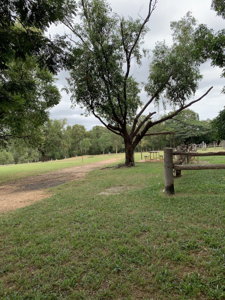Musgrave Roadhouse Cape York